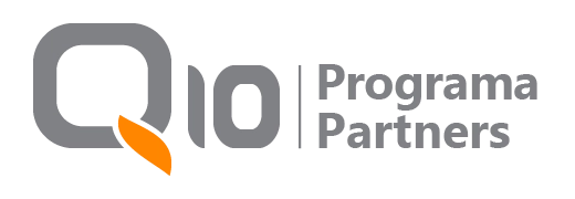 Logo de Q10